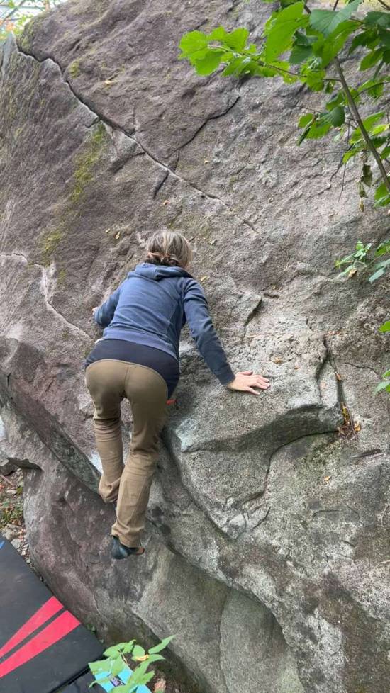 Mossriosity v2, Gold Bar - Beta Video from pnw.cat