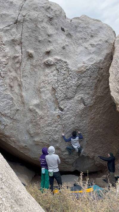 The Secrets Of The Beehive v7, Bishop - Beta Video from Bats