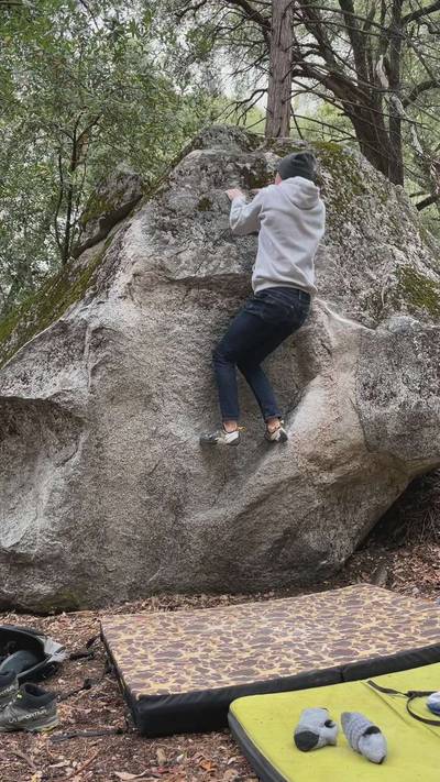 T-Rex v3, Yosemite Valley - Beta Video from tmgoodwin