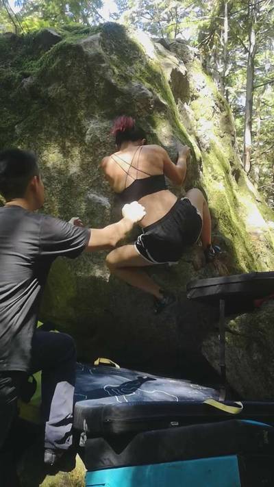 Carpenter Ants v1, Squamish - Beta Video from cynkhole