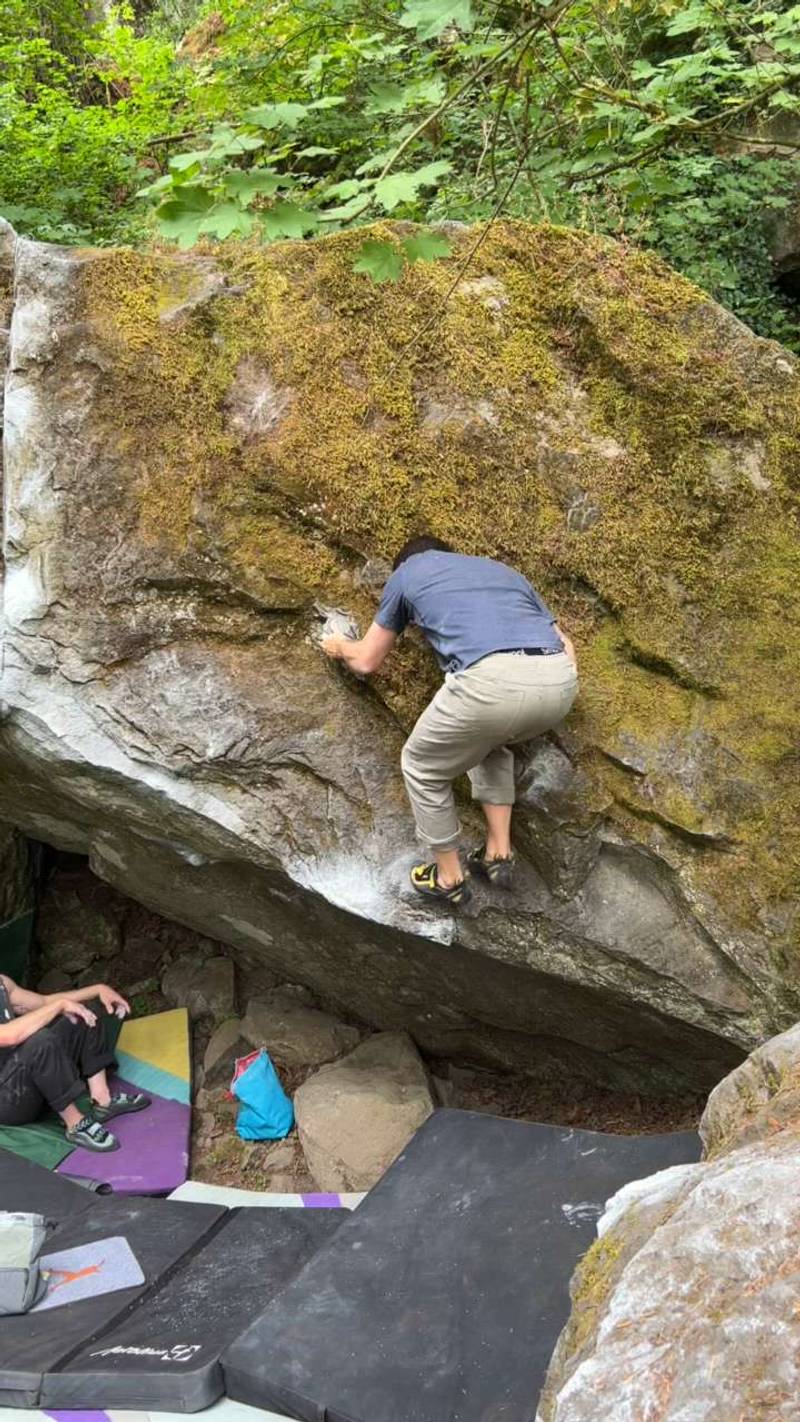 Funky As All Get Out v3, Carver - Beta Video from jsaldiv