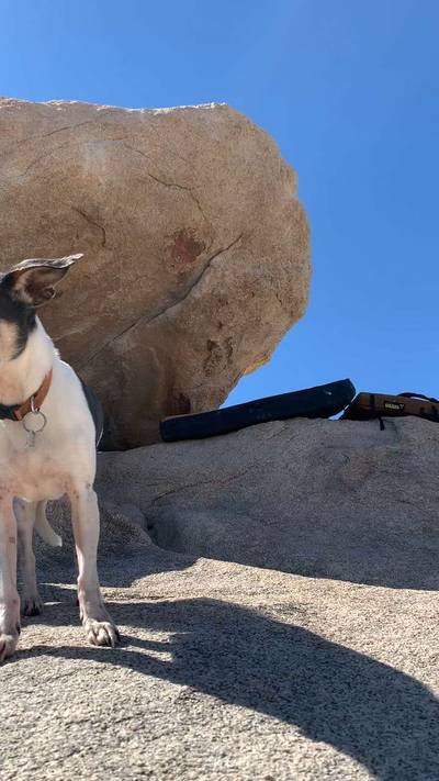 Ryan Roof v5, Joshua Tree - Beta Video from webbclimbs