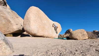 Hensel Face v0, Joshua Tree - Beta Video from meez