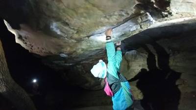 Mulletino v6, Horse Pens 40 - Beta Video from ceejoy