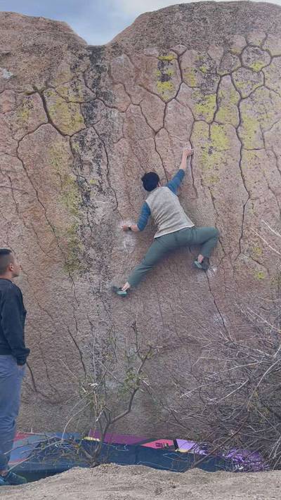 Green Wall Center v6, Bishop - Beta Video from taccat