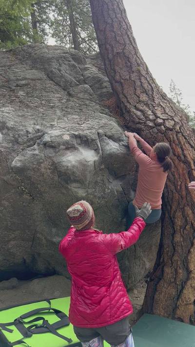 Twisted Tree v4, Leavenworth - Beta Video from Nefka