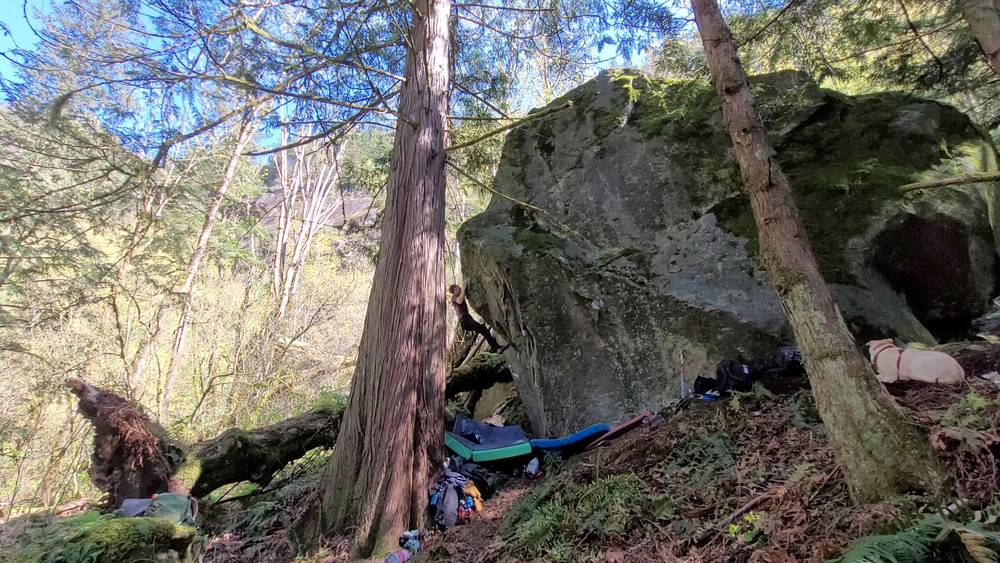 Semi Wild v8, Fraser Valley - Beta Video from HoogstraS