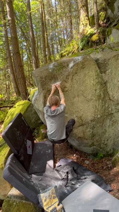 Painted Turtle v4, Vancouver - Beta Video from zerblog