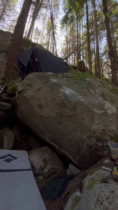 Painted Spoodle v5, Vancouver - Beta Video from zerblog