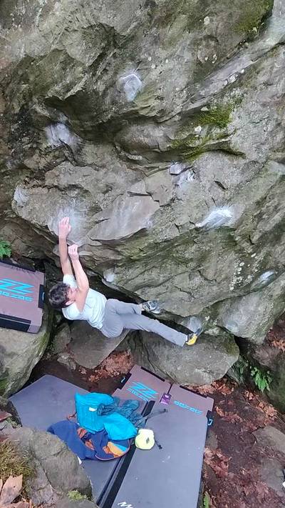 Sensei v11, Carver - Beta Video from maxroseinnes