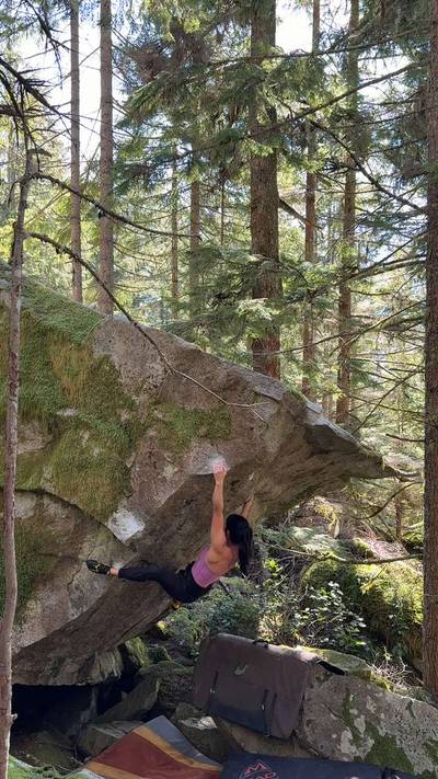 World's Best V7 v7, Gold Bar - Beta Video from moe.corbett