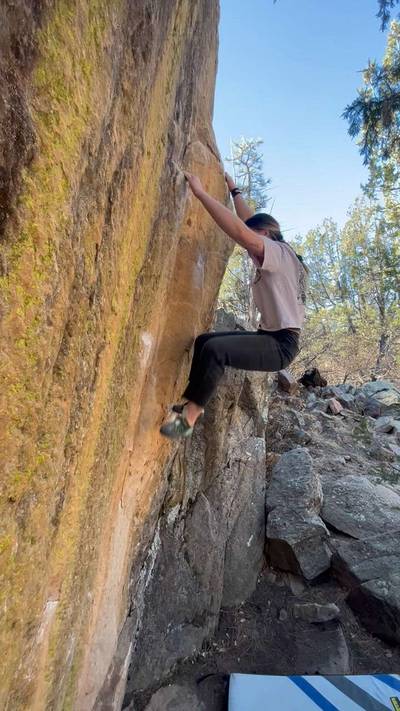 Gold Face v3, Roy - Beta Video from ekellinwood