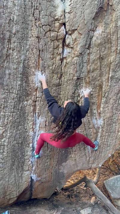 Caroline v10, Rocklands - Beta Video from Sierradactyl