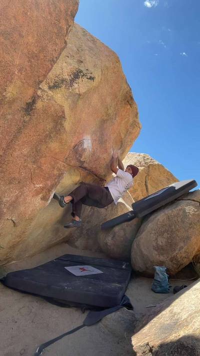 Monkeyflower v3, Joshua Tree - Beta Video from JPeregrina27