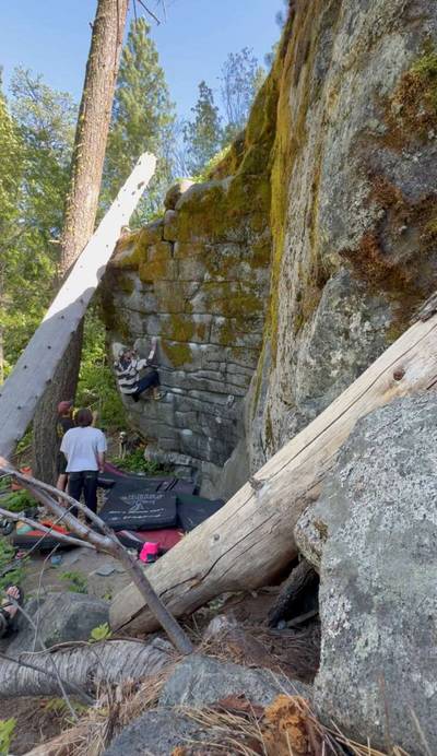 Tigerlily Left v6, Leavenworth - Beta Video from lil.z