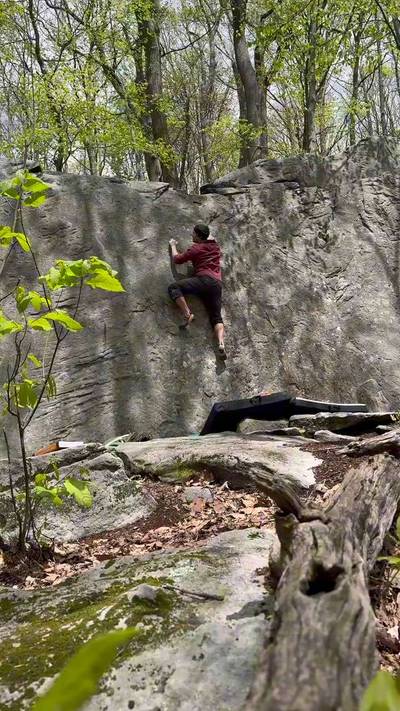 The Fiddle v3, Coopers Rock - Beta Video from Isaac