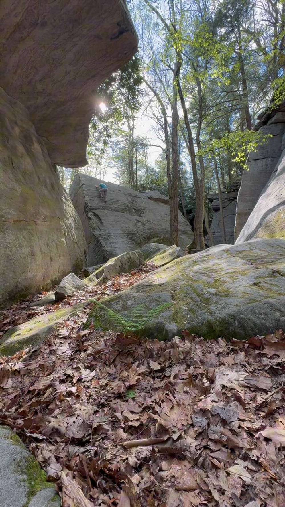Scrambled Eggs v0, Coopers Rock - Beta Video from Isaac