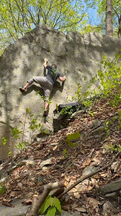 Dino Agent v5, Coopers Rock - Beta Video from Isaac