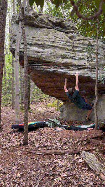 The Ballad of the Chestnut Tree v4, Coopers Rock - Beta Video from Isaac
