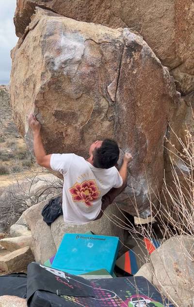 Mulligan Variation v7, Joshua Tree - Beta Video from keav