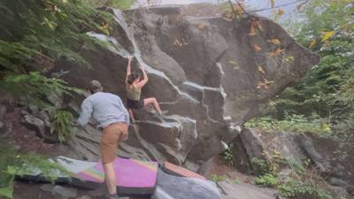 Obesity v7, Gold Bar - Beta Video from lauramarie43