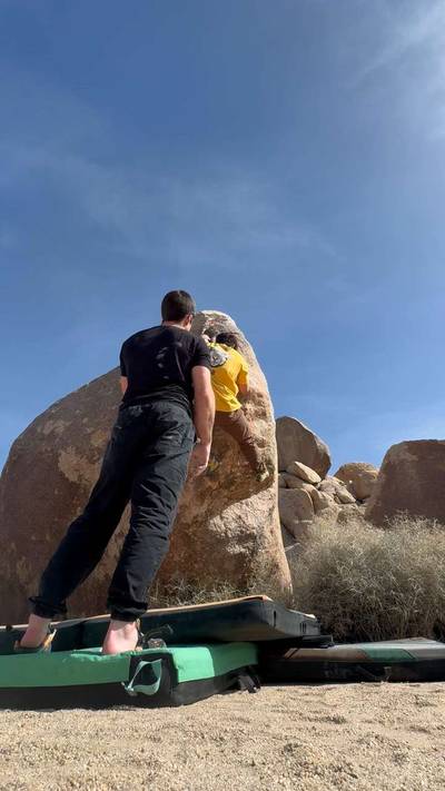 Fidelman Arete v1, Joshua Tree - Beta Video from olipop