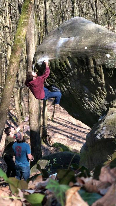 La Baleine v6, Fontainebleau - Beta Video from Eric.jerome