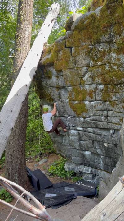 Tigerlily Left v6, Leavenworth - Beta Video from beefs