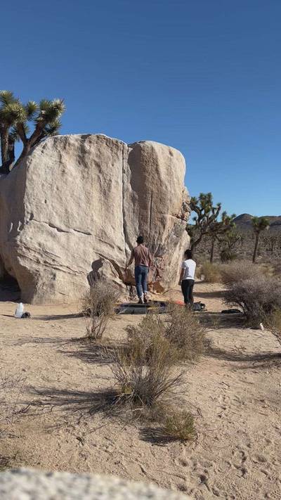 Pinhead v1, Joshua Tree - Beta Video from no.ni.bars
