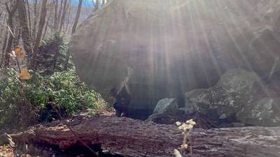 Wet Willy v13, Boone - Beta Video from MattNunes
