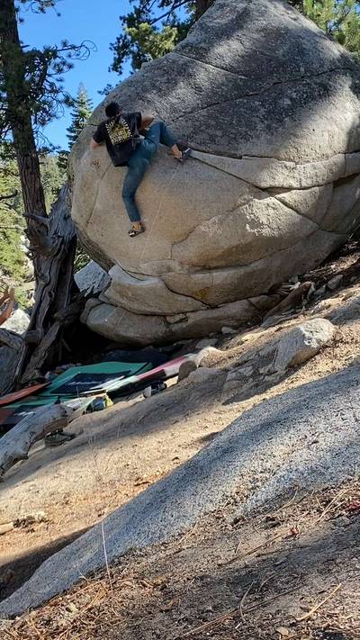 Crouching Tiger, Hidden Dragon v7, Tramway - Beta Video from cryptoblowfish