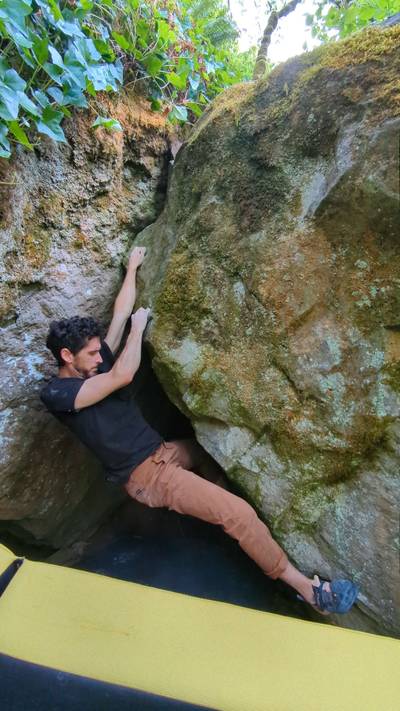 Chief Thief v5, Carver - Beta Video from jfr
