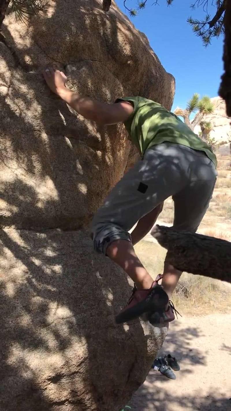 Ya No v3, Joshua Tree - Beta Video from adanxmorales