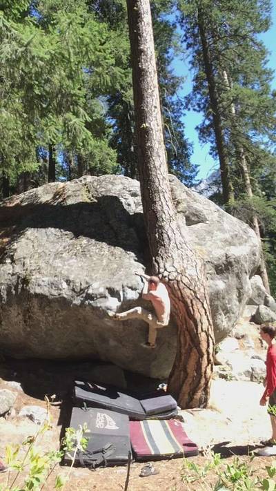 Twisted Tree v4, Leavenworth - Beta Video from TBrannen