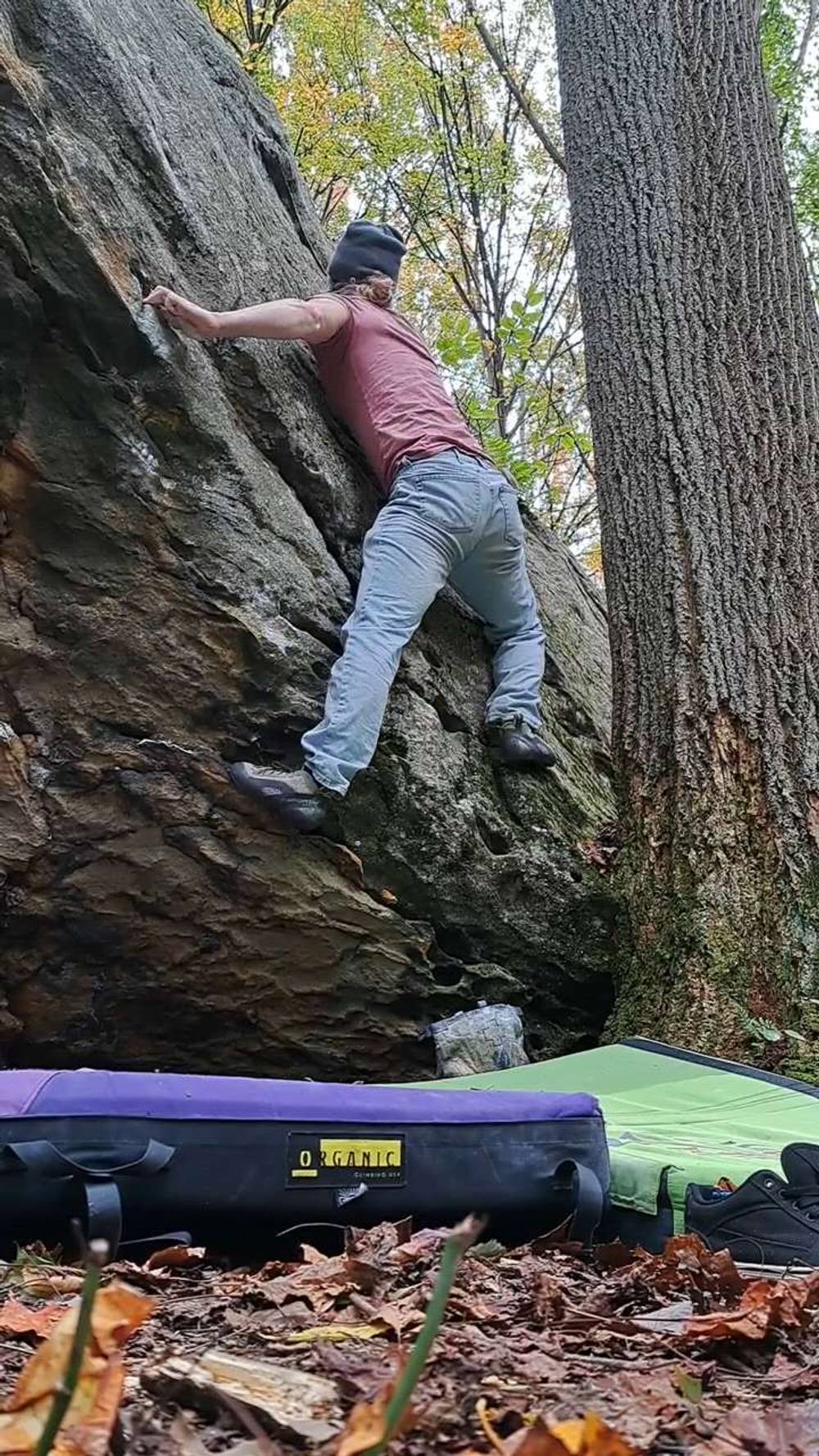 Xylophone v4, Coopers Rock - Beta Video from SlabJusticeWarrior
