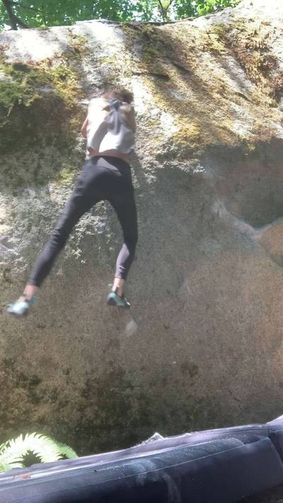 Flying Honey Badger v7, Index - Beta Video from nicolemaksi