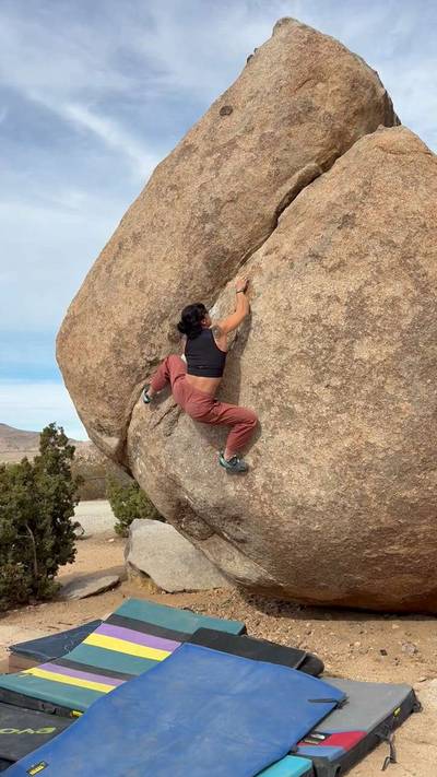 Dreaming of the Master v8, Joshua Tree - Beta Video from sheneenagins