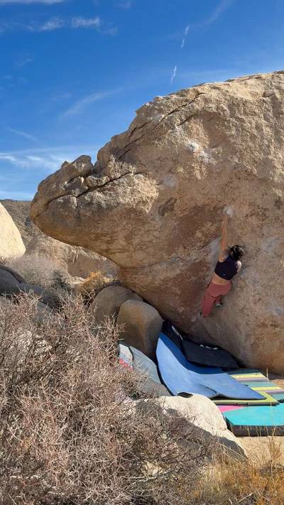 Chili Sauce v7, Joshua Tree - Beta Video from sheneenagins