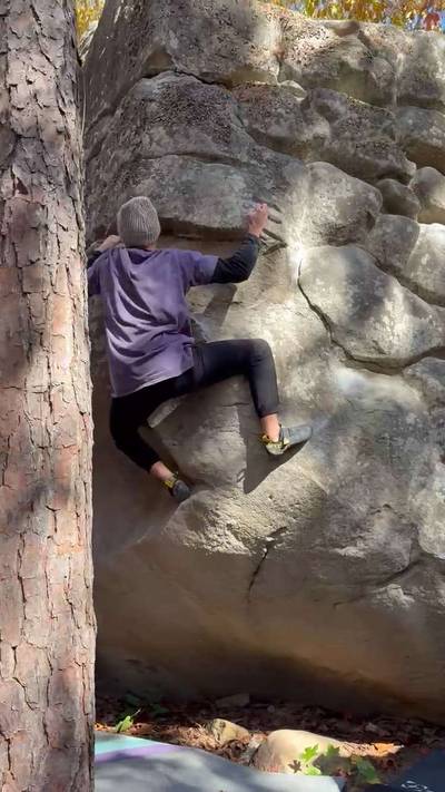 Whiplash v5, Horse Pens 40 - Beta Video from Fatbisqet