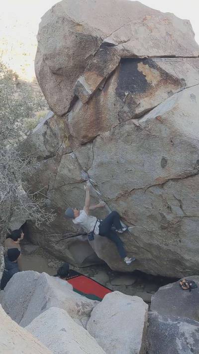 EJ Deluxe v5, Joshua Tree - Beta Video from Herb_Sends