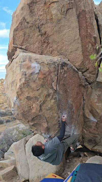 Mulligan Variation v7, Joshua Tree - Beta Video from flu.tru