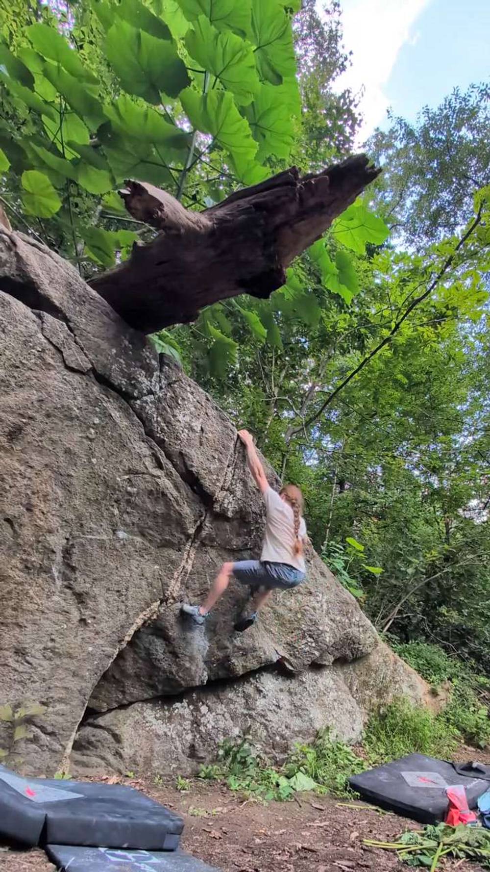 Public Garden v1, Northwest Branch - Beta Video from HodgepodgeFoxe