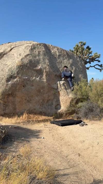 Chippy v0, Joshua Tree - Beta Video from OGDOM