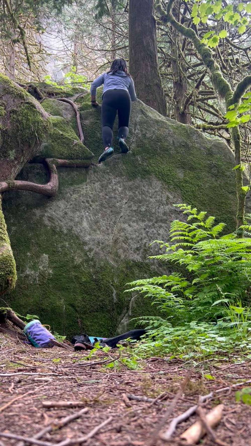 Jungle Boogie v0, Fraser Valley - Beta Video from robynpetrik