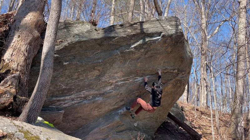 Dogwood Blossoms v8, Gunpowder Falls - Beta Video from enzosolo