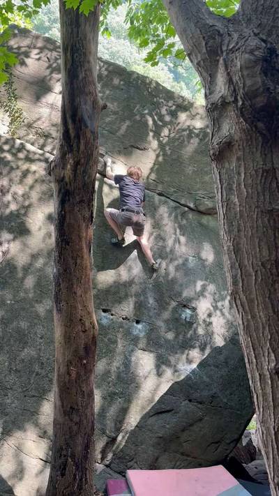 Tiptoe Through Tulips v1, New River Gorge - Beta Video from Xavi3r