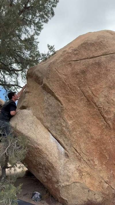 Ya No v3, Joshua Tree - Beta Video from aviv