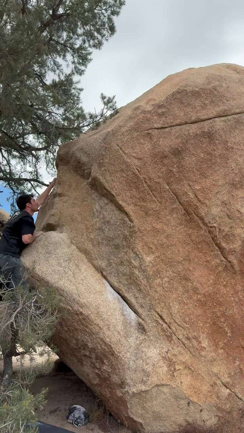 Ya No v3, Joshua Tree - Beta Video from aviv