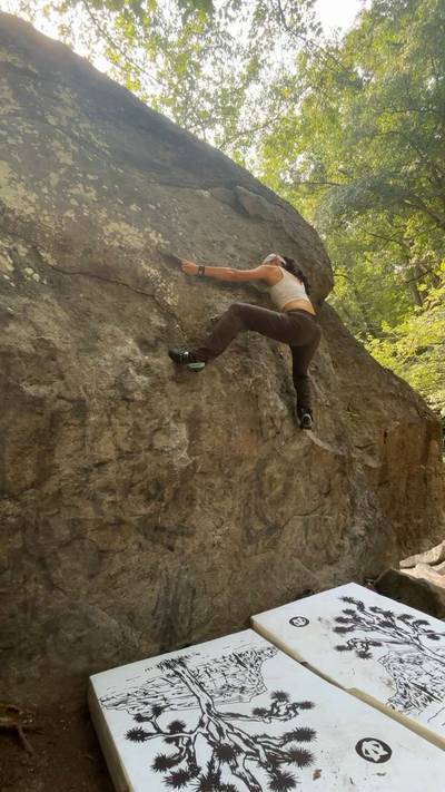 Don't Fall Right v0, Northwest Branch - Beta Video from Karlie