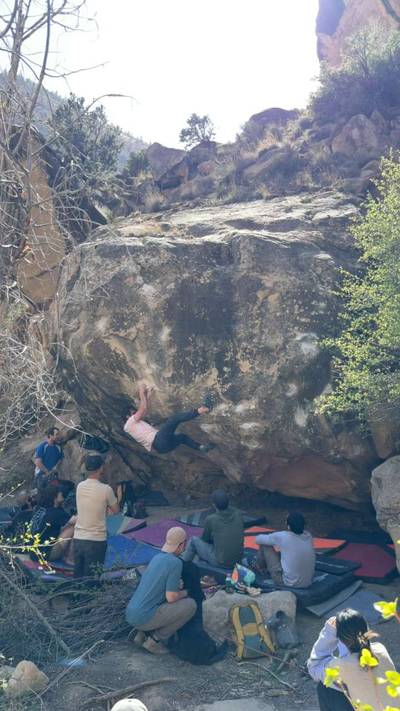 Diamond Mind v8, Joe's Valley - Beta Video from MorganP